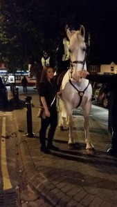 Irish Garda on horseback in Waterford
